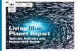 Living Blue Planet Report - WWF - Sustain our seasocean.panda.org/media/Living_Blue_Planet_Report_2015...Living Blue Planet Report page 2 NEARLY 3 BILLION PEOPLE RELY ON FISH AS A