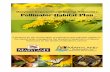 Maryland Department of Natural Resources …dnr.maryland.gov/wildlife/Documents/PollinatorHabitat...Maryland Department of Natural Resources Pollinator Habitat Plan A blueprint for