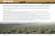 Research to Support the Management of Sage-Grouse · Research to Support the Management of Sage-Grouse Research Focus ... A Sage-grouse Perspective on Disturbance and ... mentation