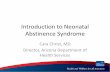 Introduction to Neonatal Abstinence Syndrome · Introduction to Neonatal Abstinence Syndrome Cara Christ, MD Director, Arizona Department of Health Services . Health and Wellness