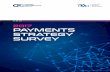 2017 PAYMENTS STRATEGY SURVEY - American ... Payments Strategy Survey | 7 These nonbank competitors are diverse, running the gamut from e-commerce companies to technology giants to