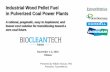 Industrial Wood Pellet Fuel in Pulverized Coal Power Plants · Industrial Wood Pellet Fuel in Pulverized Coal Power Plants A rational, pragmatic, easy to implement, and lowest cost