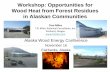 Opportunities for Wood Heat from Forest Residues in Alaska and Combustion... · Industrial wood chip systems •Chiptek •Messersmith ... Wood Pellet Boiler HEARTH AND ASH BIN ...