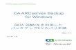 CA ARCserve Backup for Windows - ホーム | ネットワー … GUIDE: CA ARCSERVE BACKUP R16.5 CA ARCserve ® Backup for Windows DATA DOMAINを利用した バックアップ&リカバリ手順