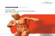 Fitness Instructor Workbook 1B - Lifetime Training ·  · 2014-01-27FITNESS INSTRUCTOR Workbook 1b Introduction ... This effect results from the structure of sarcomeres, ... Gluteus