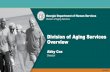 Division of Aging Services Overvie · Division of Aging Services Overview ... improvement services designed to promote the safety and well-being of adults ... installation of assistive