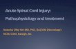 Acute Spinal Cord Injury: Pathophysiology and treatment · Acute Spinal Cord Injury: Pathophysiology and treatment Natasha Olby Vet MB, PhD, DACVIM (Neurology) NCSU CVM, Raleigh,