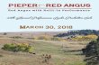 Welcome to Pieper Red Angus Red Angus 28th Annual Performance leader Production Sale • 1 28th Annual Performance Leader Production Sale ... Pre-Sale Calendar March 29, 2018