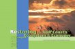 Restoring the Gulf Coast’s Ecosystem Economy ·  · 2015-03-06Comprehensive Plan to restore the ecosystem and the economy of the Gulf Coast ... review, and approval of State Expenditure