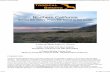 A view of Mono Lake (N. Dyson) - Tropical Birding · A view of Mono Lake (N. Dyson) Guide: Josh Engel with Iain Campbell Participants: Neil Dyson and Julie Quarrington A Tropical