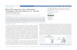 New Technique for Medial Patellar Desmotomy in Cattle and ... · and post-operative complications arise ... a common intra-operative complication of the blind ... Kishimoto T, Nemoto