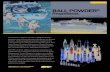 BALL POWDER Propellants - daplane.com powder propellants.pdf · Quality propellants have been supplied to the ... WC 872 20mm TP M55, HEI M56 WC 886 25mm M791 APDS-T WC 886L 25mm