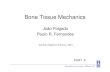 Bone Tissue Mechanics - FenixEdu · Bone Tissue Mechanics João Folgado ... Introduction to linear elastic fracture mechanics ... Lesson_2016.03.14.ppt [Compatibility Mode]