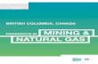MINING & - Trade and Invest BC - BC公式貿易投資サイ … gLOBAL LEADERS AND INVEST IN BRITISH COLUMBIA’S EXTRACTIVE INDUSTRIES “British Columbia is the place to invest in