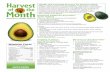 Exploring California Avocados: Taste Testingharvestofthemonth.cdph.ca.gov/documents/Spring/Avocados/Avocado... · Taste Testing What You Will Need ... favorite fruits and vegetables