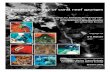 Feeding ecology of coral reef sponges - Universität …elib.suub.uni-bremen.de/diss/docs/E-Diss1098_Koetter.pdfFeeding ecology of coral reef sponges Dissertation zur Erlangung des