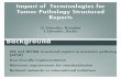 Impact of Terminologies for Tumor Pathology Structured Reportsmitel.dimi.uniud.it/tp2012/presentations/C3-Haroske.pdf · Impact of Terminologies for Tumor Pathology Structured Reports