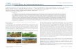 e o g r a p h y & N Journal of Geography & Natural Disasters · J Geography & Natural Disasters o u r n a l o f G e o ... was first developed by the World Bank for soil and water