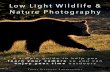 Low Light Wildlife & Nature Photography - … · Low Light Wildlife & Nature Photography T RENT SIZEMORE PHOTOGRAPHY A simple guide to help you learn your camera so you can enjoy