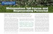 Rhizomatous Tall Fescue and Regenerating Perennialarchive.lib.msu.edu/tic/stnew/article/2012sum16.pdf · Rhizomatous Tall Fescue (RTF) Before we can look at RTF in sports fi elds,