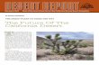 THE DRECP PLANS TO GUIDE THE WAY The Future … DRECP PLANS TO GUIDE THE WAY BY SHAUN GONZALES The Future Of The California Desert T ... and the Sierra Club San Gorgonio and Toiyabe