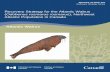Recovery Strategy for the Atlantic walrus (Odobenus ... · Species at Risk Act Recovery Strategy Series Recovery Strategy for the Atlantic Walrus (Odobenus rosmarus rosmarus), Northwest
