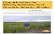 Opportunities for Woody Biomass Fuel Crops in Interior Alaska for Interior Alaska - publication.pdf · Woody Biomass Fuel ... (Crimp and Adamian, 2000; Nicholls and Crimp, 2002; Fresco,