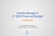 County Manager’s FY 2019 Proposed Budget Manager's FY 2019 Proposed Budget Economic Environment 3 • Economic Development Increase funding for incentive commitments; preserve core