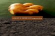 SAKATA NOBUO Corporation - 坂田信夫商店 | 高知の … catalog.pdfKOGANE ginger SAKATA NOBUO CORP. proudly brand launched KOGANE ginger in 1986, after 3 years of intensive biotechnical
