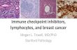 Immune checkpoint inhibitors, lymphocytes, and … checkpoint inhibitors, lymphocytes, and breast cancer ... tutorial for stromal TILs ... Immune checkpoint inhibitors, lymphocytes,
