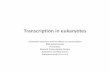 Transcription in eukaryotes - ULisboabmg.fc.ul.pt/Disciplinas/GBM/aulas/10TranscriptionII.pdfTranscription in eukaryotes Chromatin structure and its effects on transcription RNA polymerases