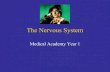 The Nervous System - med1.wikispaces.com (2).pdf... · Spinal Cord 2. Peripheral Nervous System ... controls autonomic nervous system ... Central Nervous System Spinal Cord : Column