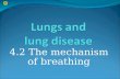 [PPT]The Breathing System - VBIOLOGY - Homevbio.weebly.com/.../4.2_the_mechanism_of_breathing.ppt · Web viewTitle The Breathing System Subject KS4 Biology Author Boardworks Ltd Created