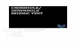 CROSSHOLE/ DOWNHOLE SEISMIC TEST - Welcome to …igsdelhichapter.com/handout.pdf ·  · 2017-08-21Bore logs provide soil samples for soil type classification and laboratory testing