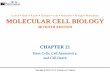 Molecular Cell Biology 6/econtents.kocw.net/KOCW/document/2016/pusan/kangho… ·  · 2016-09-09MOLECULAR CELL BIOLOGY SEVENTH EDITION CHAPTER 21 Stem Cells, ... but essential, cell