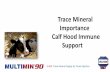 Trace Mineral Importance Calf Hood Immune Support - …agebb.missouri.edu/modbu/archives/v16n2/Trace Minera… ·  · 2016-02-29Trace Mineral Importance. Calf Hood Immune Support