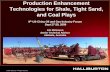 Production Enhancement Technologies for Shale, Tight … McGowen_english.pdf · Present Completion Strategies • Shales or Tight Sands – Multi-Stage Fracturing in Vertical or Horizontal
