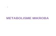 [PPT]METABOLISME MIKROBA - Gedeari53's Blog | Just … · Web viewI METABOLISME MIKROBA PRODUK AKHIR FERMENTASI METABOLISME PROTEIN Bakteri, ragi (yeast) dan kapang (molds) memerlukan