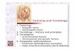 1.Twinning - nikolai.lazarov.pronikolai.lazarov.pro/lectures/2014/medicine/embryology/04_Twinning... · 1.Twinning: dizygotic twins ... amnion, chorionand placenta ... chromosomal