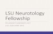 LSU Neurotology Fellowship - School of Medicine Neurotology Fellowship ... Neurosurgery Chairman ... Anatomic Collaboration Center for Advanced Practice Clinical Studies