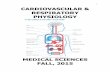 1 CARDIOVASCULAR & RESPIRATORY PHYSIOLOGYmsci531/lecture/lecnotes/Book 1 Fall 2015.pdf · 1 CARDIOVASCULAR & RESPIRATORY PHYSIOLOGY ... Chapter 3: Cardiovascular Physiology ... 14