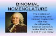 Binomial Nomenclature - Shelby County Schoolspodcasts.shelbyed.k12.al.us/holleybrown/files/2018/01/Binomial...BINOMIAL NOMENCLATURE The system of classifying and naming organisms that