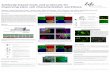 Antibody-based tools and protocols for improving stem cell ...resource.lifetechnologies.com/lib/CO010011/Antibody-based_tools... · Life Sciences Solutions Group, ... Antibody-based