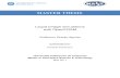 Liquid bridge simulations with OpenFOAM - UPCommons · Liquid bridge simulations with OpenFOAM BY Guillermo Guirao Aguilar DIPLOMA THESIS FOR DEGREE Master in Aerospace Science …