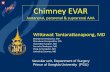 Chimney EVAR - lincapac2016.cncptdlx.com Aneurysm - Open repair - Hybrid debranching procedure - Chimney EVAR / Snorkeling EVAR - Fenestrated and branched