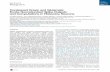 Cell Reports Report - Universität Bernboris.unibe.ch/53882/1/Schoene2014_CellRep.pdf · Cell Reports Report Coreleased Orexin and Glutamate Evoke Nonredundant Spike Outputs and Computations