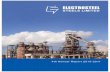 ELECTROSTEEL STEELS LIMITED - moneycontrol.com · ELECTROSTEEL STEELS LIMITED 1 ... Andhra Bank Oriental Bank of Commerce ... Account and Cash Flow S tatement for the year ended on