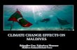 CLIMATE CHANGE EFFECTS ON MALDIVES · CLIMATE CHANGE EFFECTS ON MALDIVES Maldives National Defense Force . OUTLINE ... Slide 1 Author: MUJUTHABA Created Date: