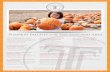 Pumpkin Patches in the San Antonio Area - trinitytitletx.com · Pumpkin Patches in the San Antonio Area ... 8497 FM 1560, San Antonio, TX 78254 (210) ... 10/3/2016 3:09:30 PM ...