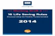 16 Life Saving Rules - PGMBpgmb.waw.pl/wp-content/uploads/2014/08/16-Life-Saving-Rules-2014...implementation of the 16 Life Saving Rules. Our management ... The HSE team look forward
